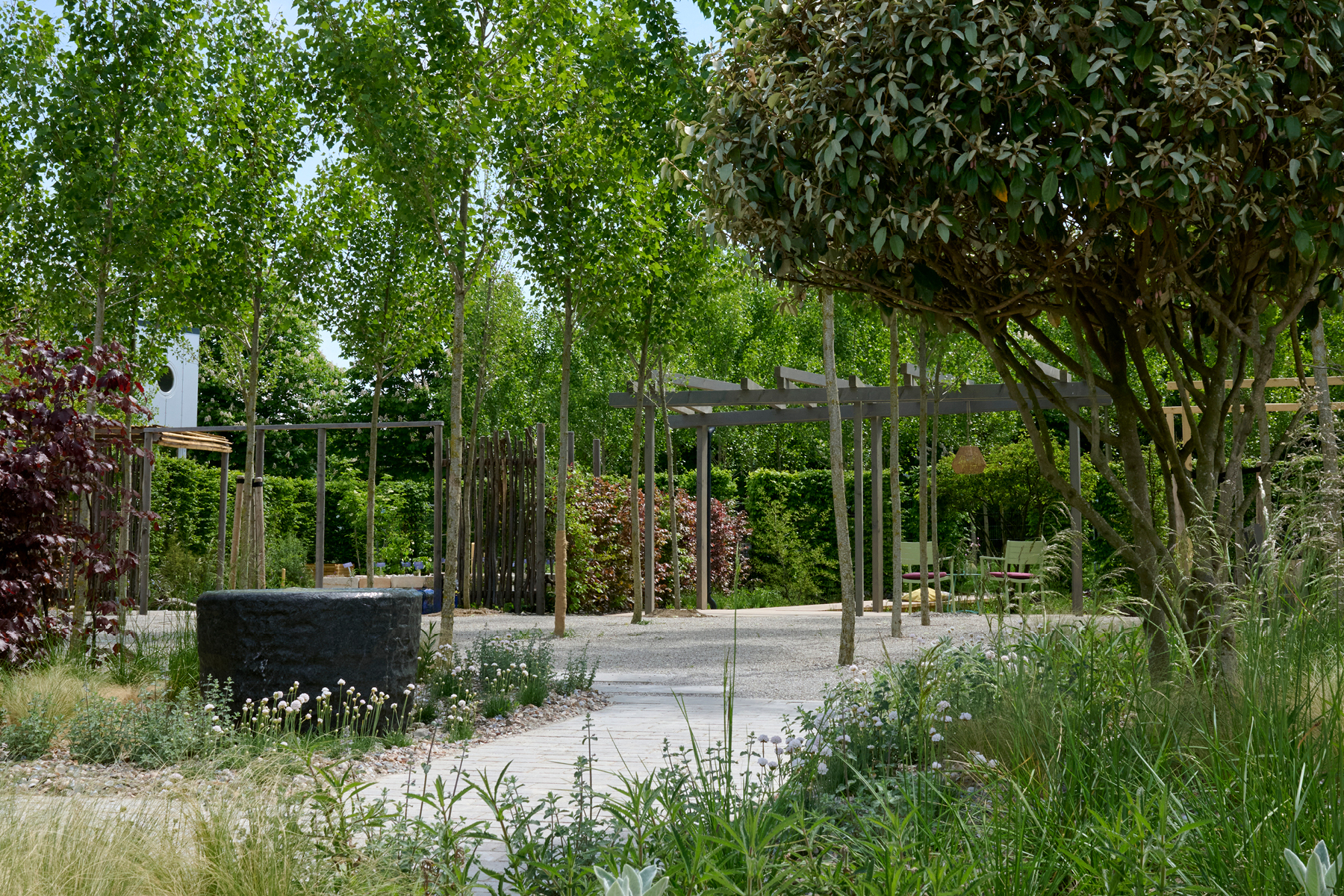 Blicküber den Vorgarten durch den Pappelhain auf die Pergola aus Holz.