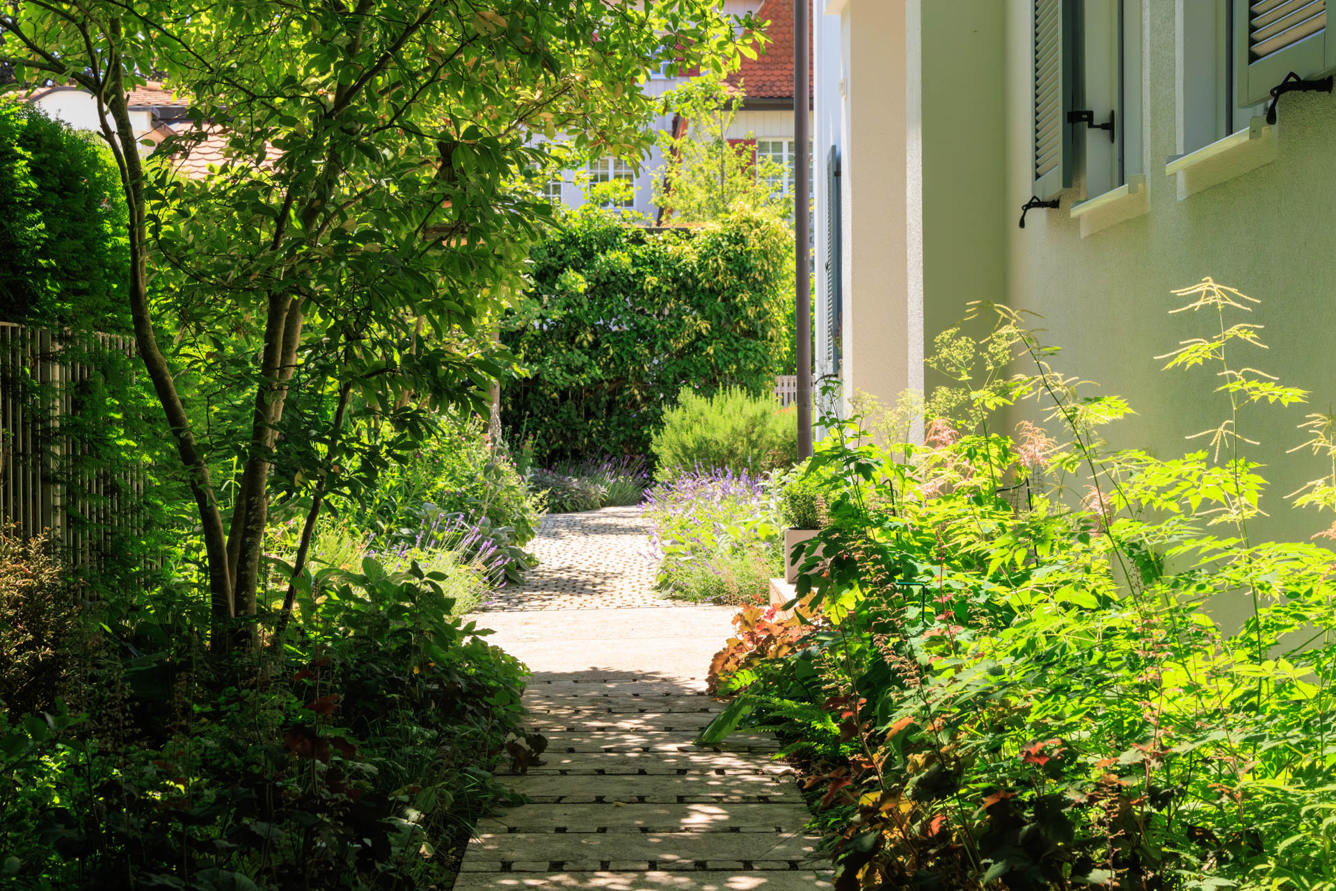 Der Gartenweg aus Würzburger Muschelkalk-Kleinsteinpflaster führt am Haus vorbei. Links und rechts säumen Stauden den Weg.