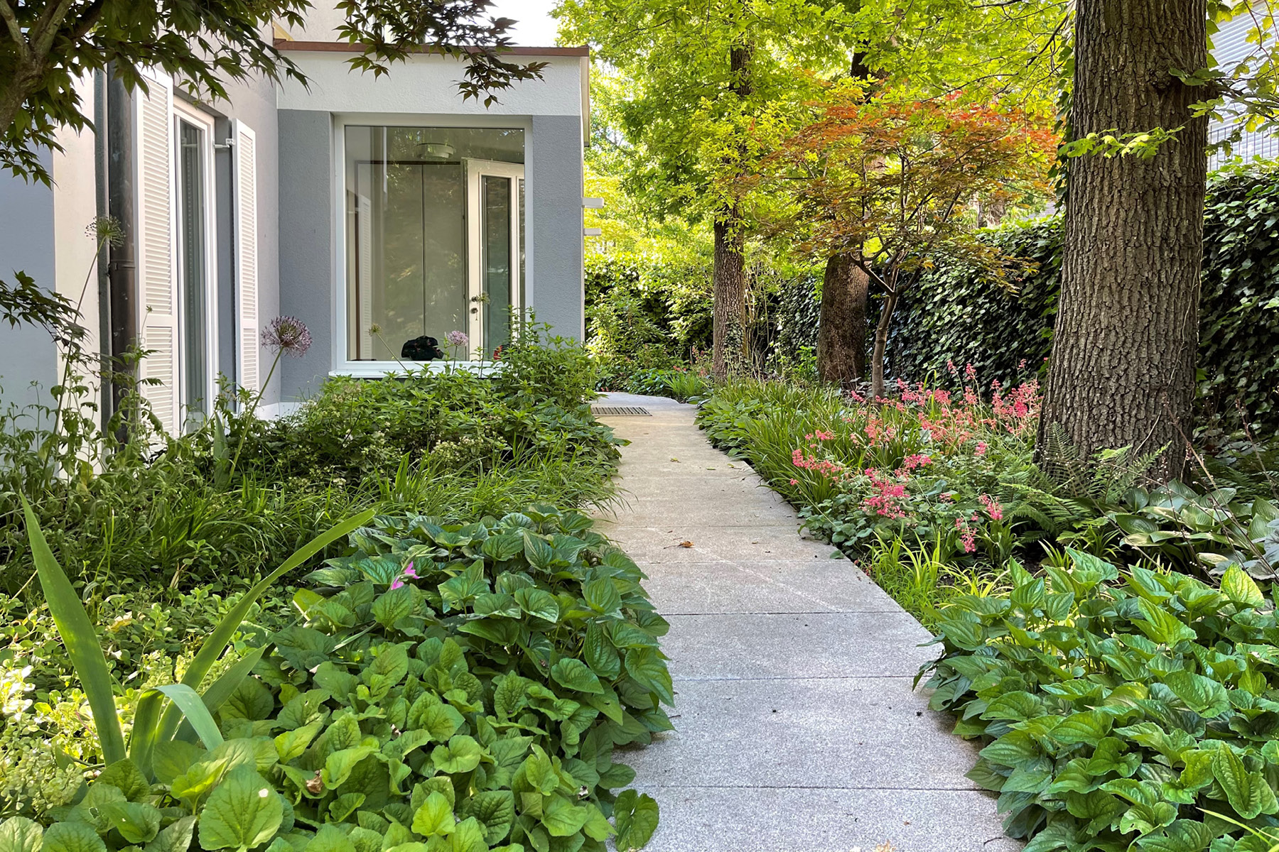Ein Granitgartenweg führt am Haus vorbei. Links und rechts Schattenstauden unter großen Eichen.
