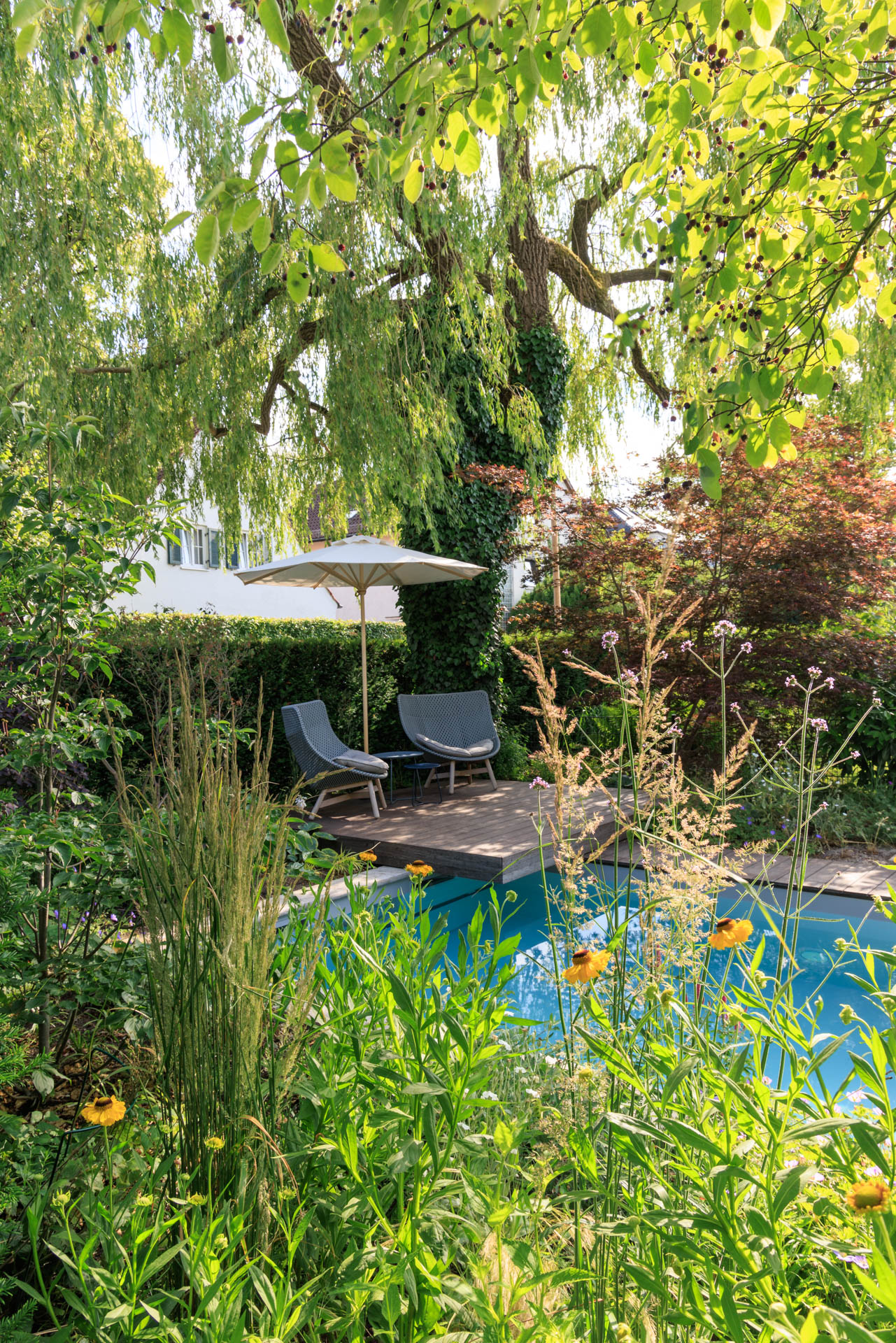 Blick durch die Stauden über den Pool. Die große Trauerweide legt ihr Blätterdach schützend über die Terrasse.