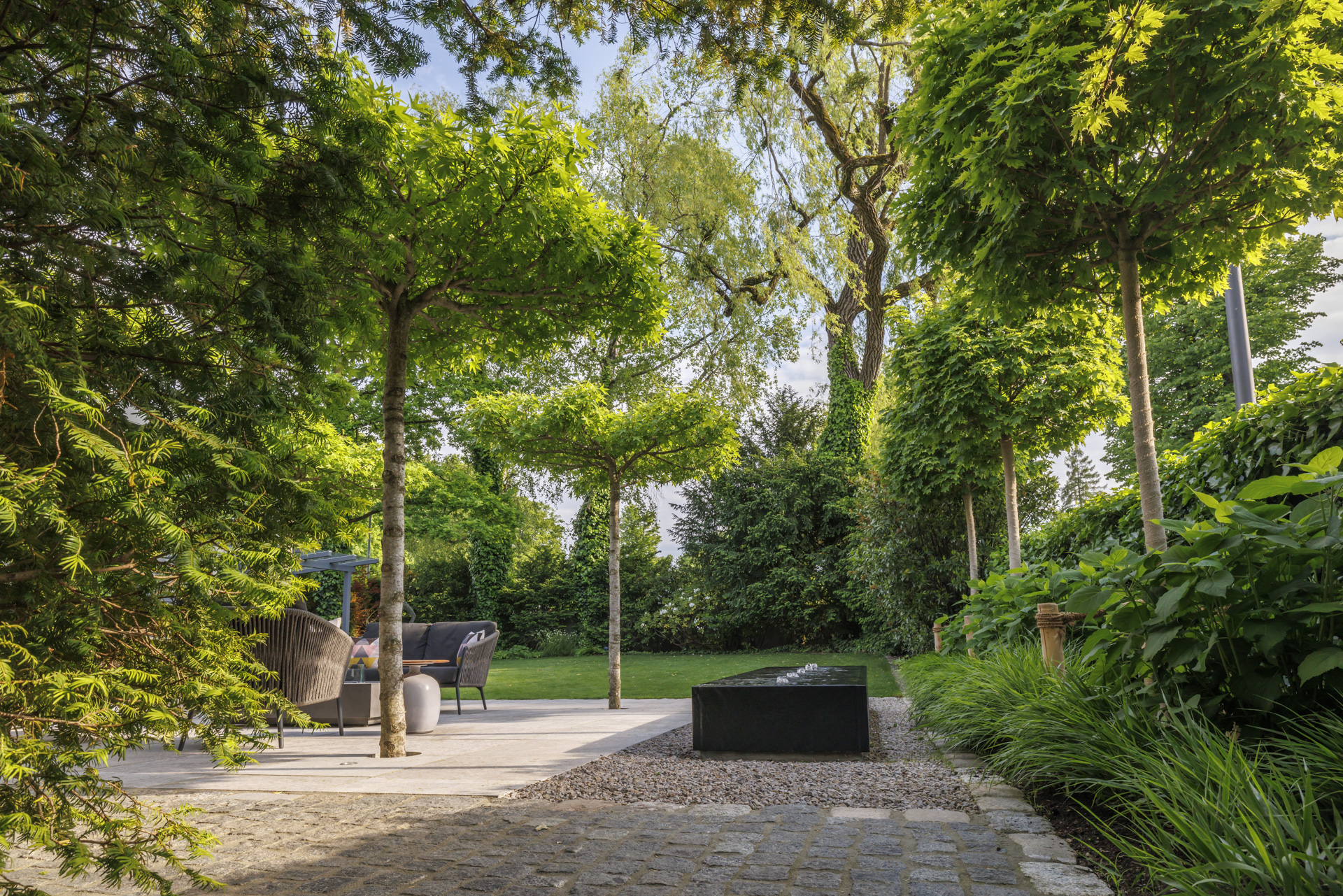 Blick durch den Garten mit der großen Baumkulisse im Hintergrund.
