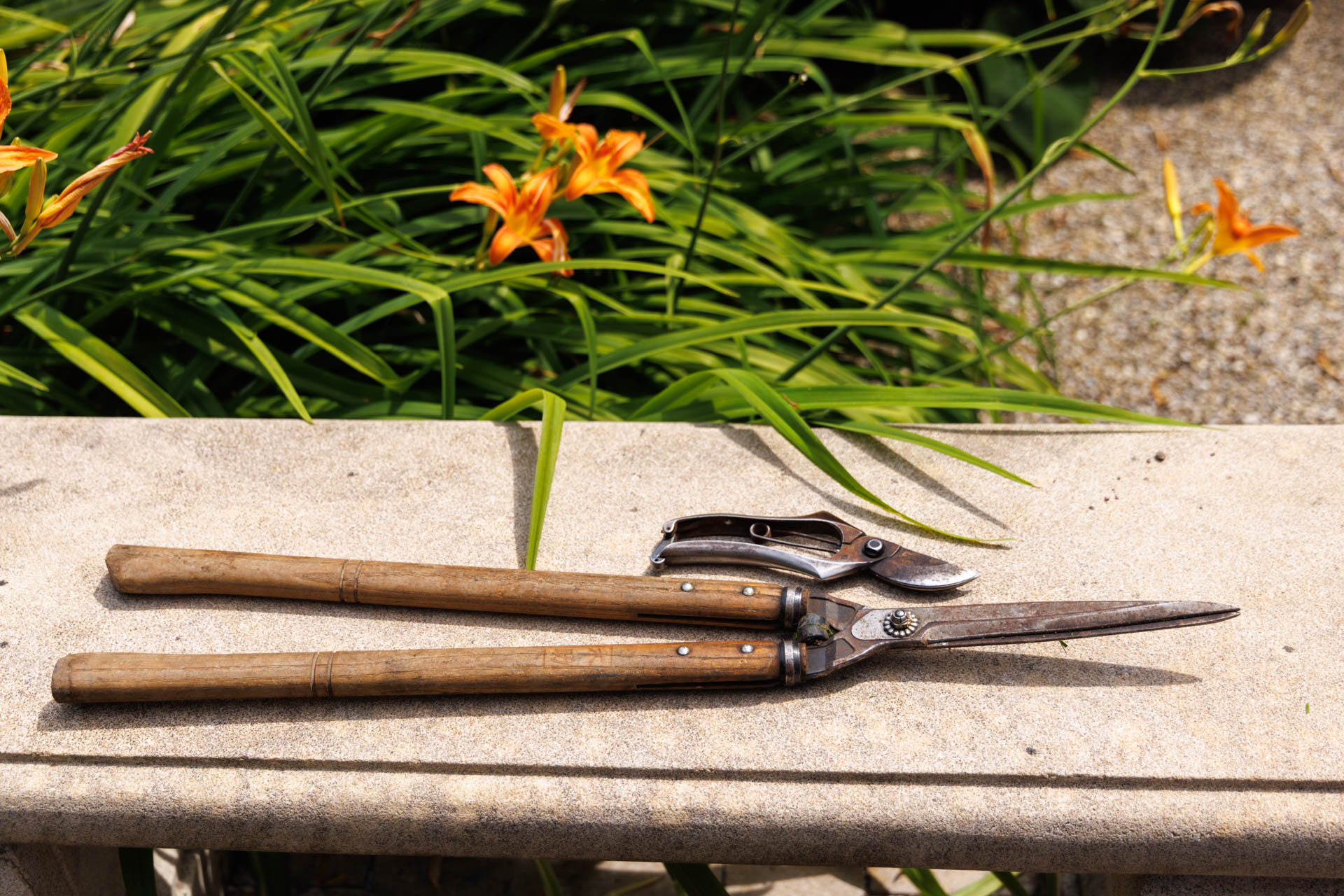 Gartenwerkzeug liegt auf einer Mauer, dahinter blühende Taglilien