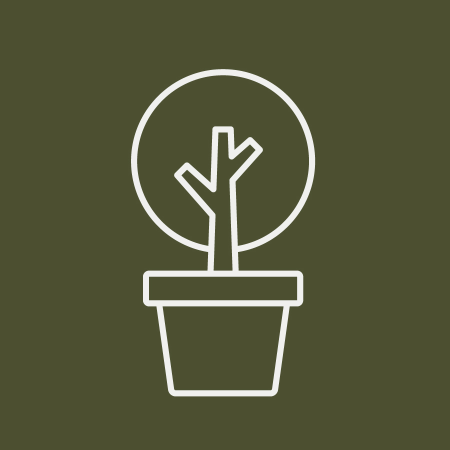 Kundenstimmen-Icon Blumentopf